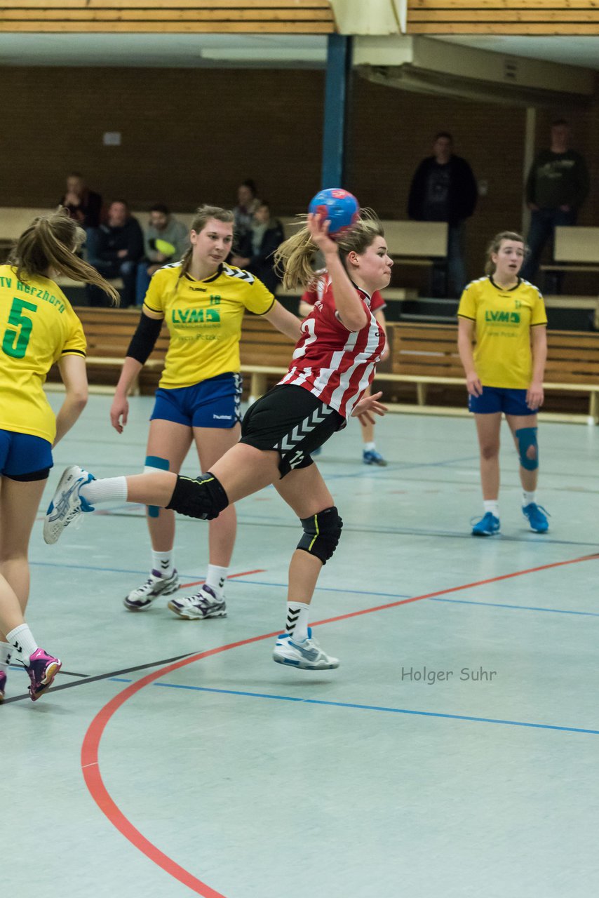 Bild 66 - A-Juniorinnen MTV Herzhorn - Bramstedter TS : Ergebnis: 32:32